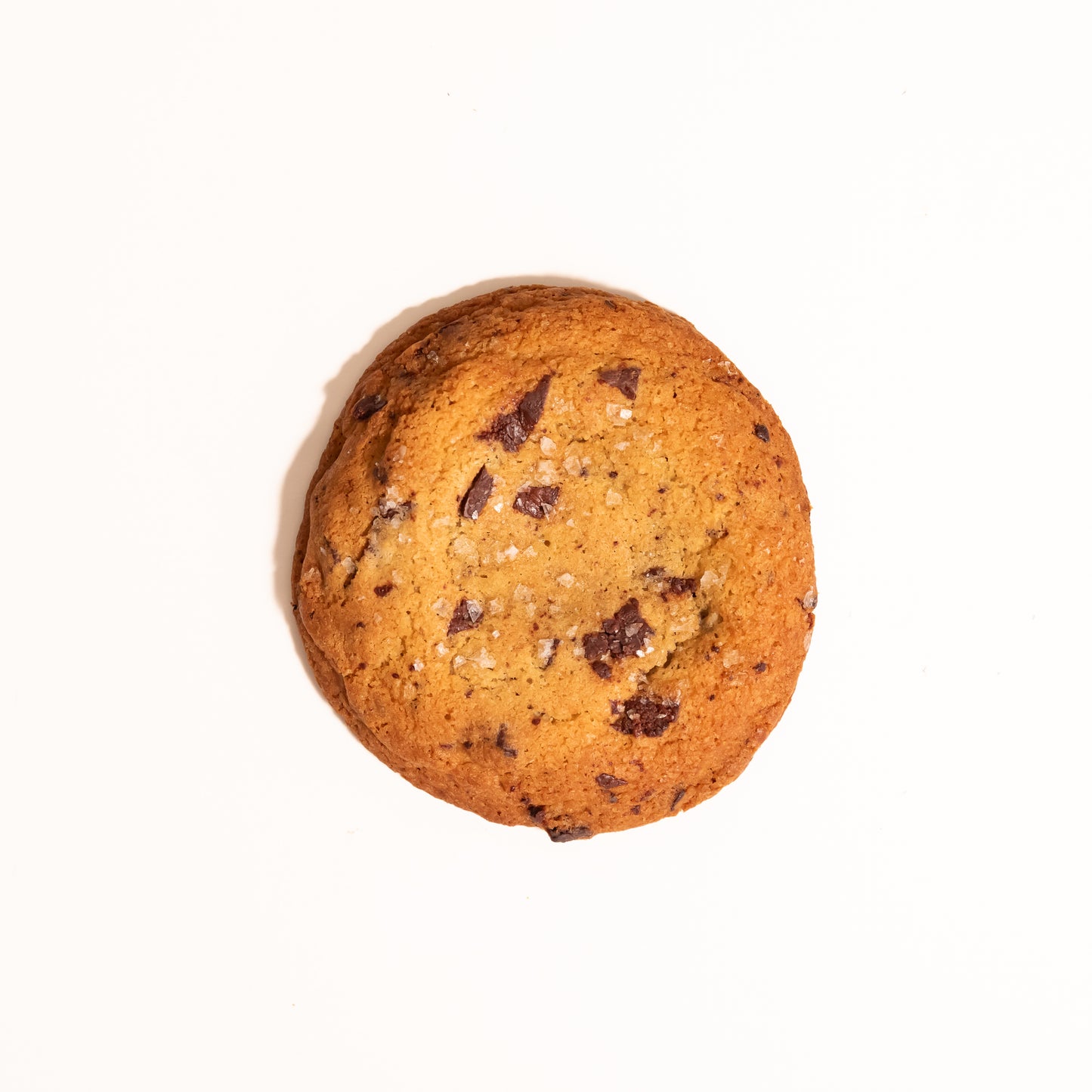 Chocolate Chip Cookie